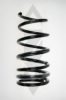 SPIDAN 85633 Coil Spring